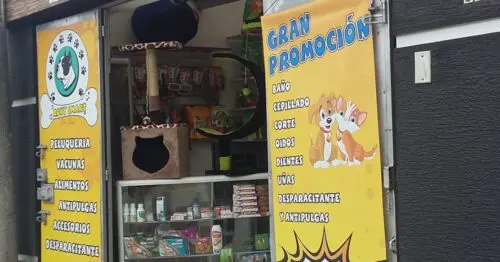 ROKY SMART ROKY SMART